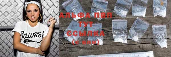 тгк Абаза