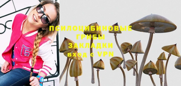 тгк Абаза